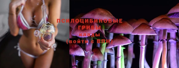 дмт Алексеевка