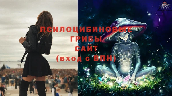ECSTASY Алексин