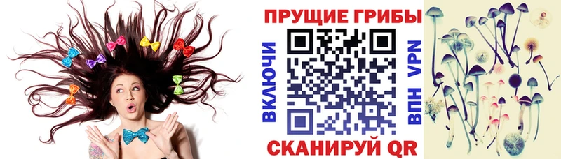 Галлюциногенные грибы Psilocybine cubensis  Березники 